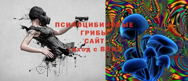прущий лед Белокуриха