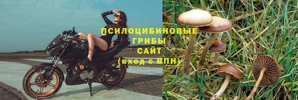 прущий лед Белокуриха