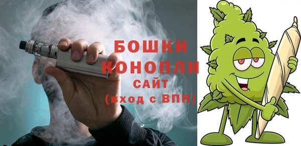 гидра Бронницы