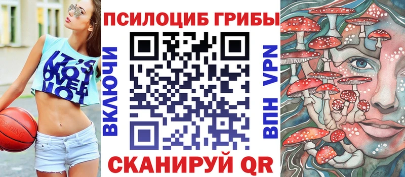 Псилоцибиновые грибы Magic Shrooms  kraken сайт  Лыткарино  наркошоп 